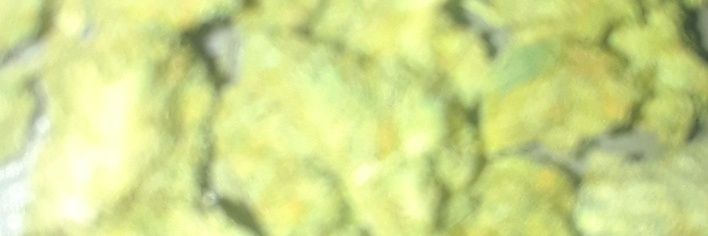 Tooka2Lit's profile banner image
