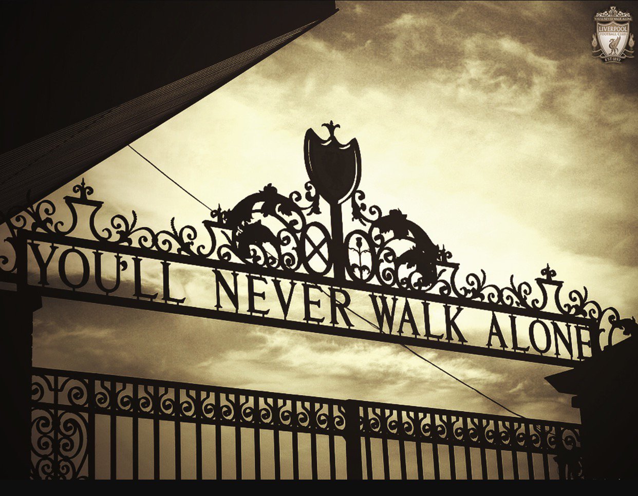 Alan Green banner