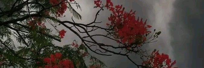 FarhanMunaf5's profile banner image