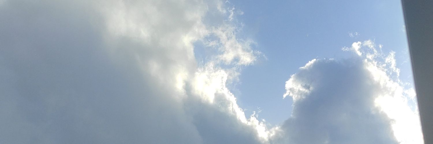 Tania_tb_'s profile banner image