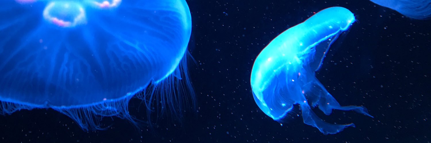 抹 banner