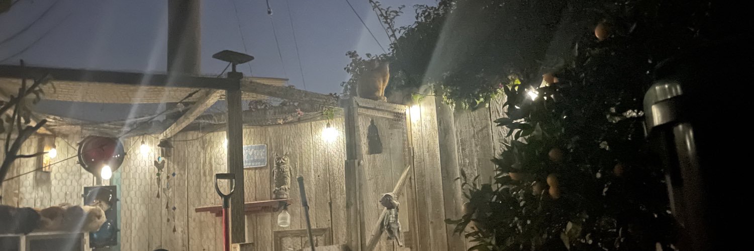 JennXer❤️🤍💙✡️ banner