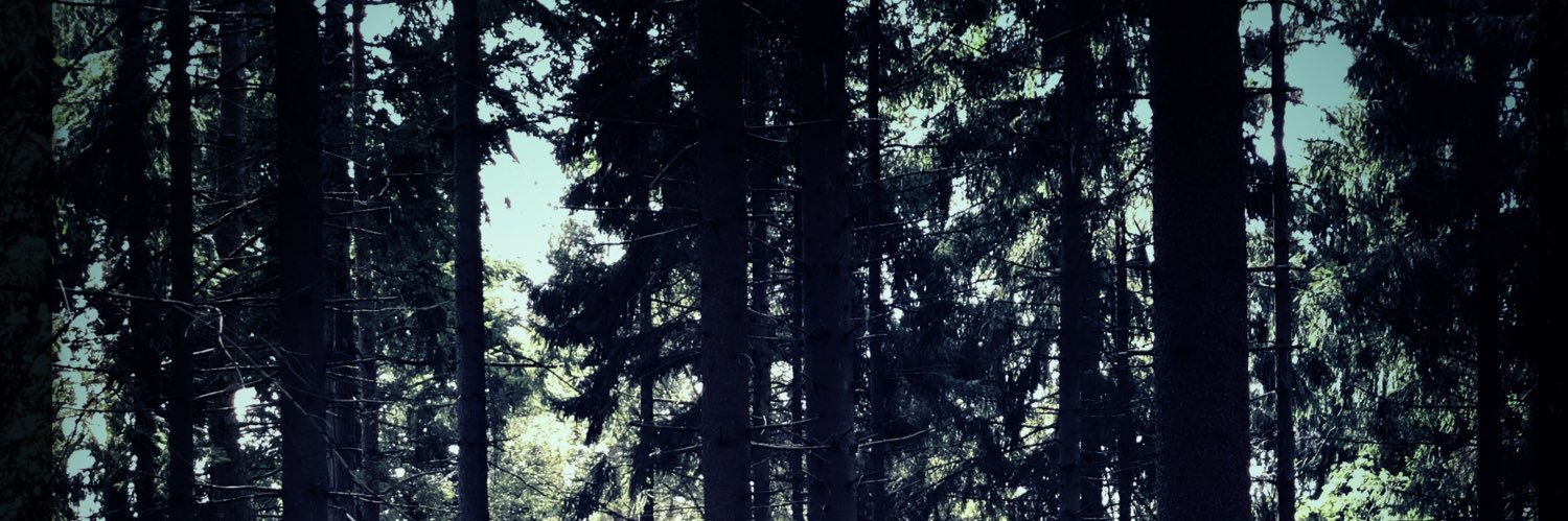 Jacobine van Dijk banner