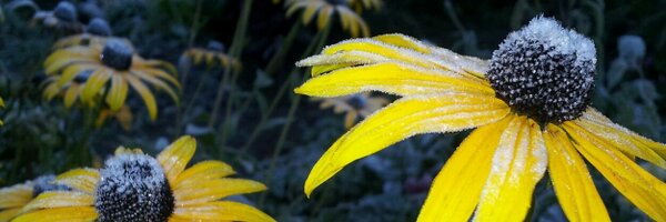 BodilAppelquist Profile Banner