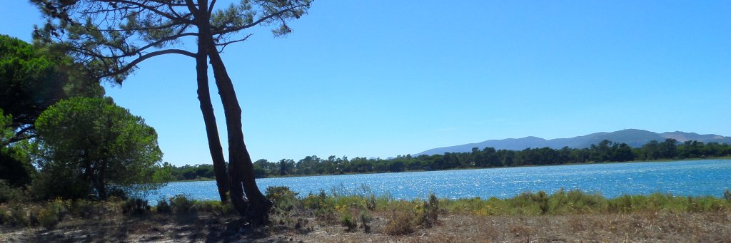 leoffp10's profile banner image
