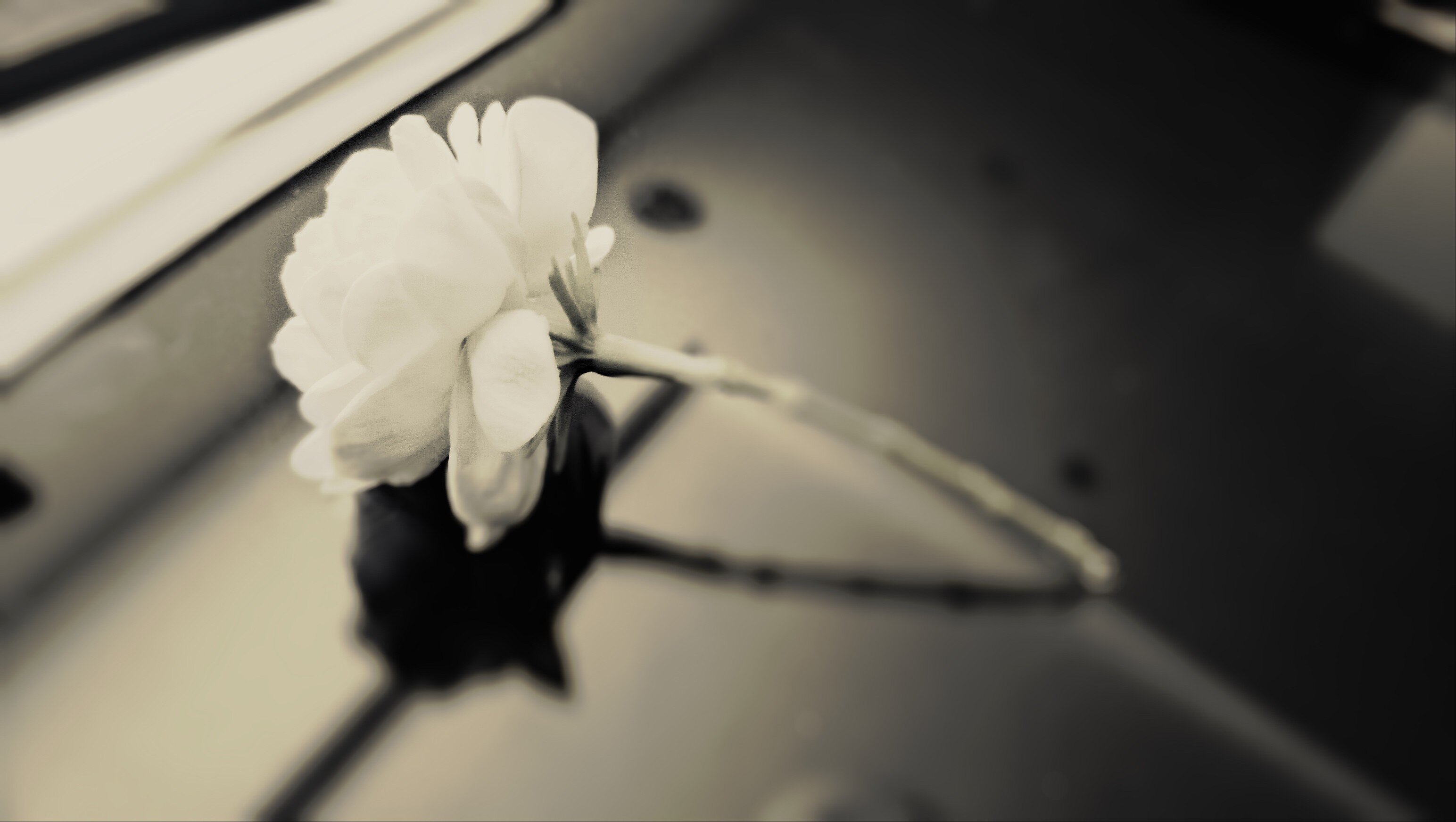 IbrahimFallatah's profile banner image