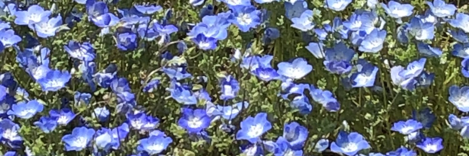 K01ma30's profile banner image