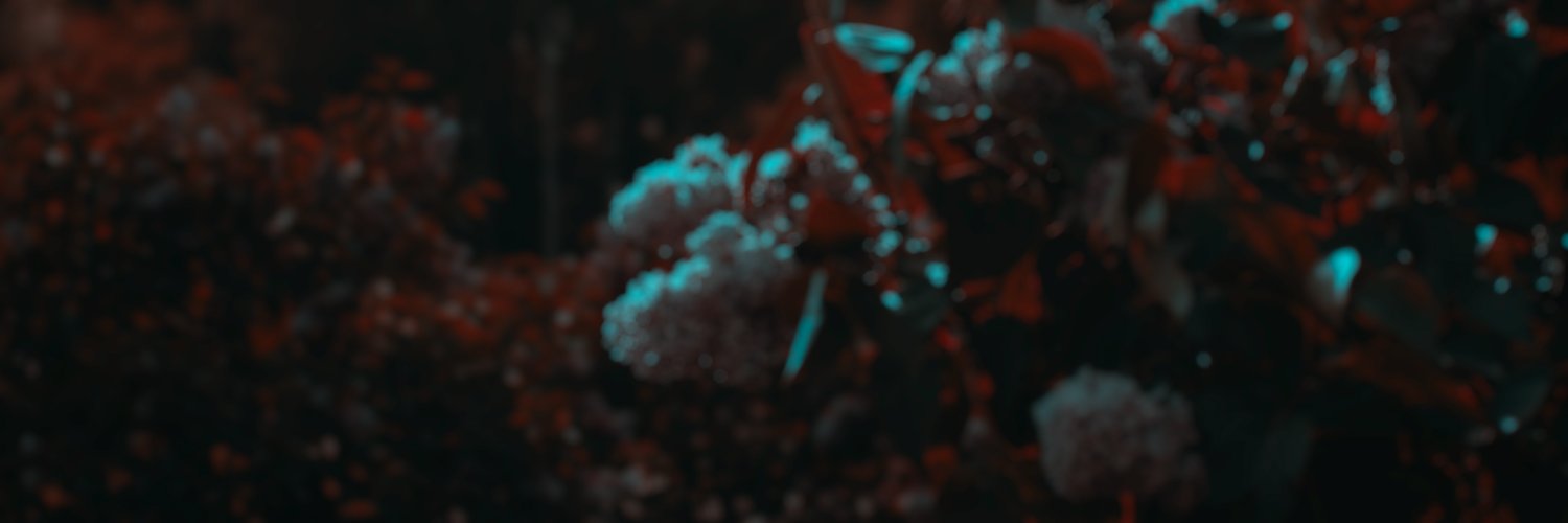 mathilda_holten's profile banner image