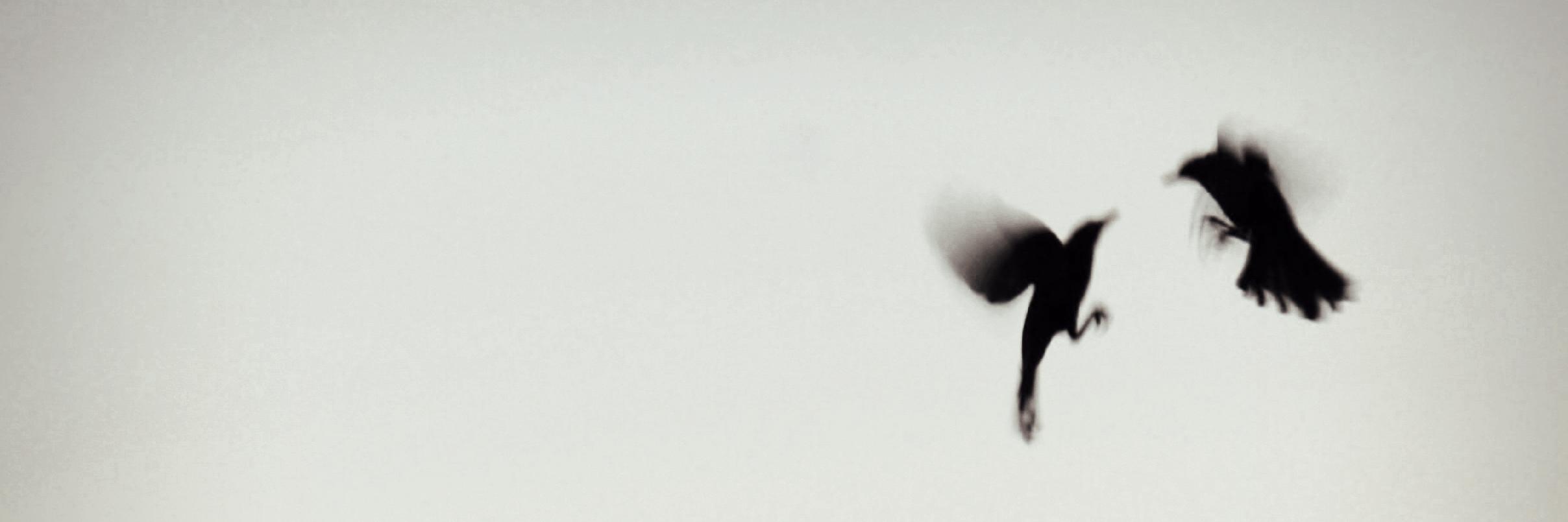 marta2o_'s profile banner image