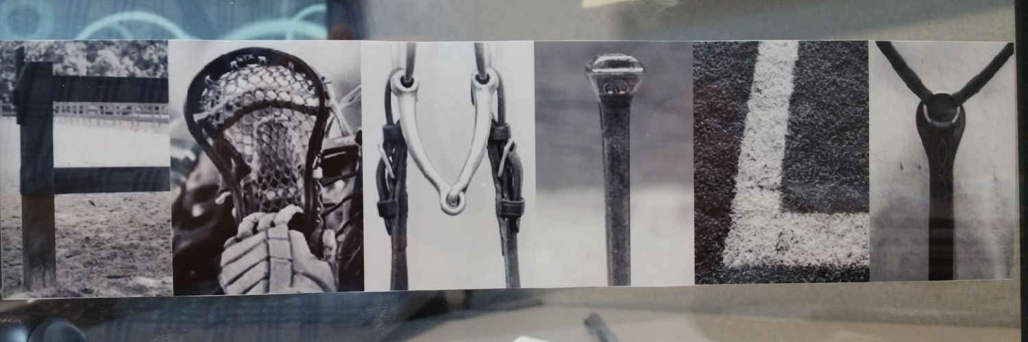 KentuckyFox's profile banner image