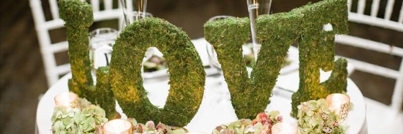 BayviewFlorist's profile banner image