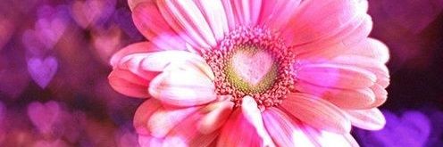 もっちー《結》 banner