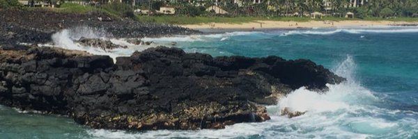 androtabere Profile Banner