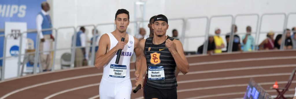 DyeStat's banner