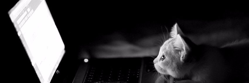 thavinhu's profile banner image