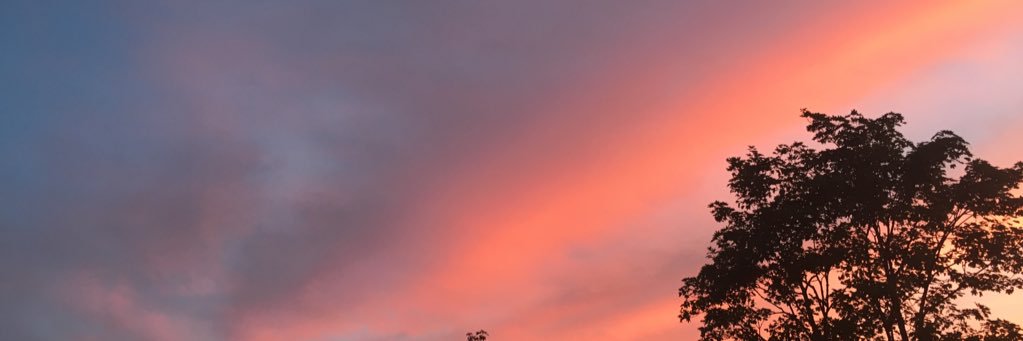 ATsiporah's profile banner image