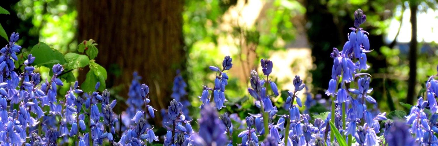 LandLove Magazine banner