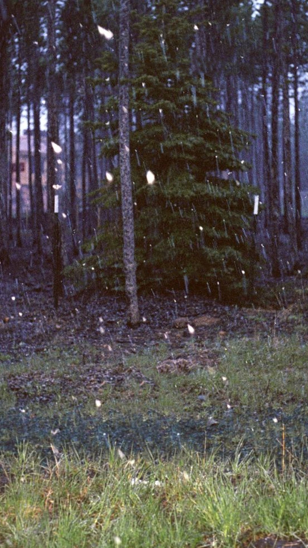 brainsEATy's profile banner image
