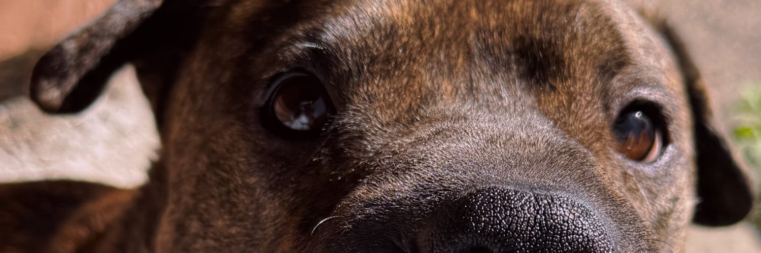 KingTonez's profile banner image