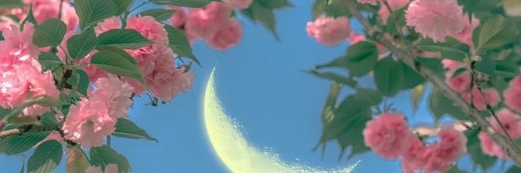 nanigambetta's profile banner image