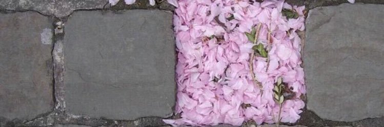 Mezna_01's profile banner image