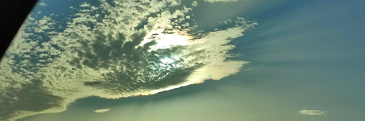 Cristina Martí banner