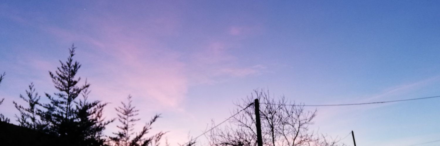 LuiiiCanada's profile banner image