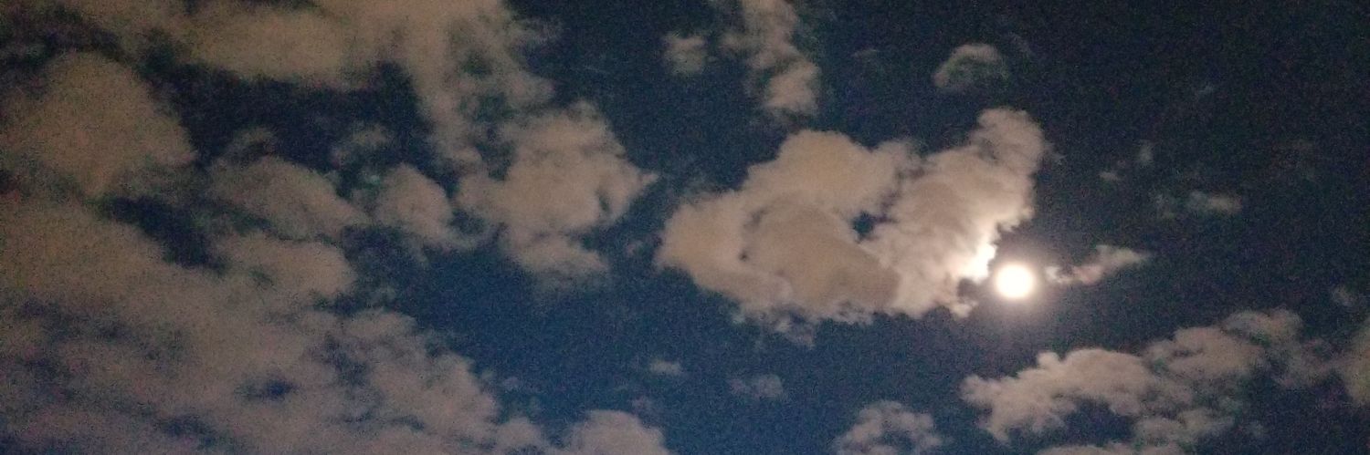 jaclynnorono's profile banner image