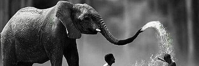 Joe Selimo 🇿🇦 banner