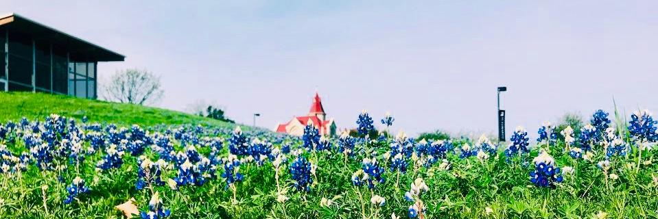 SEUResLife's profile banner image