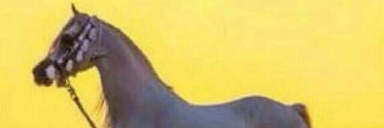 🥀💔 banner
