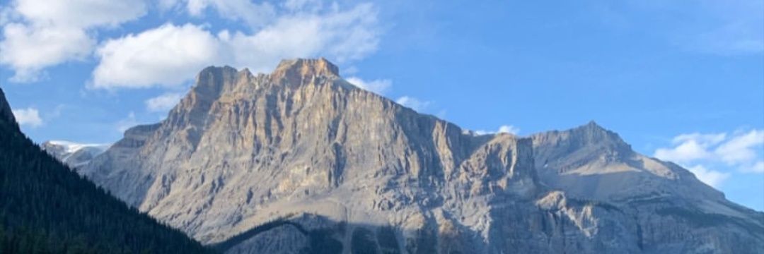 bovitronick's profile banner image