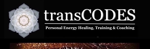 transCODES's profile banner image