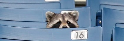 Eric Auer Lee banner