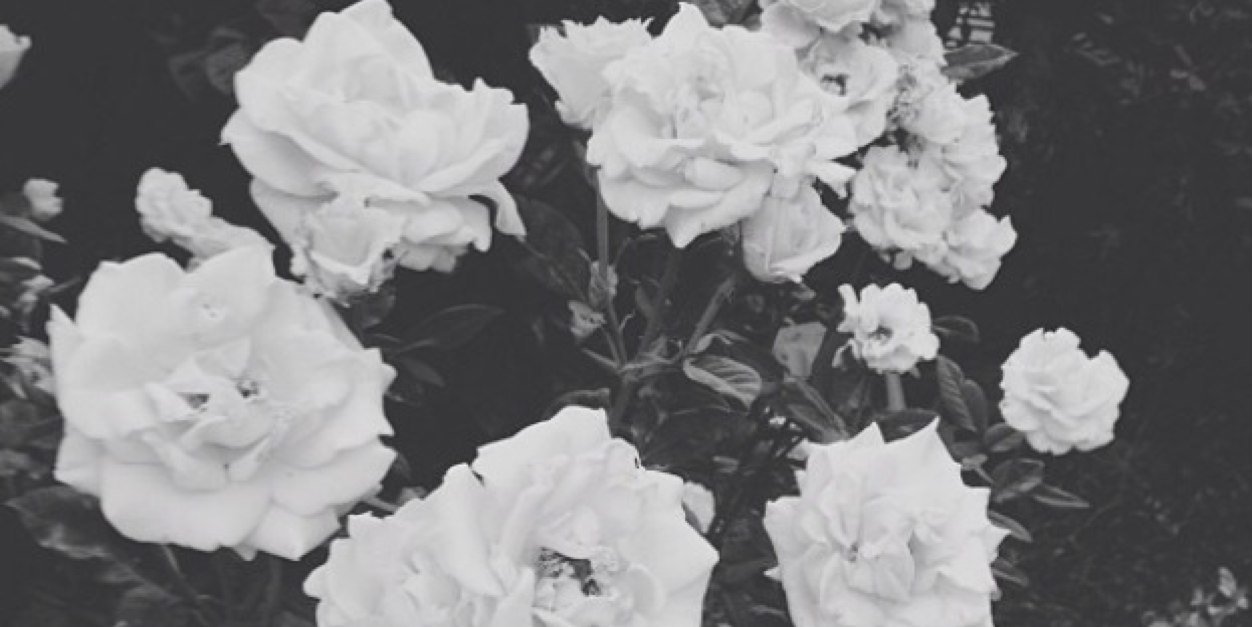 b9190's profile banner image