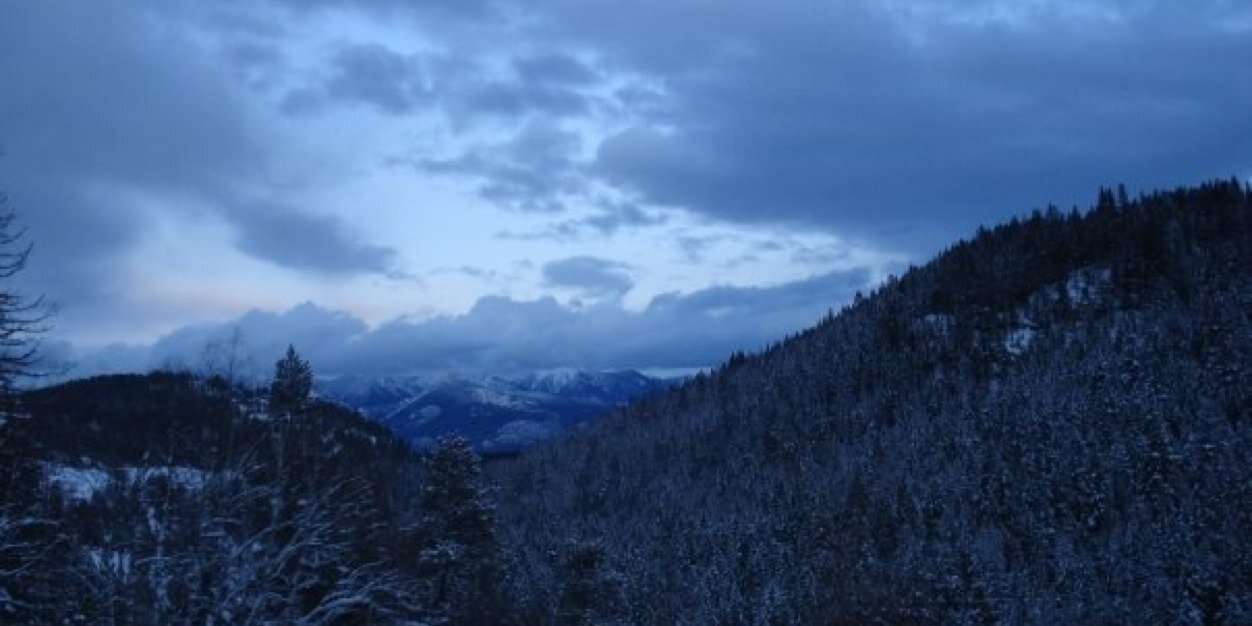 alexina_om's profile banner image