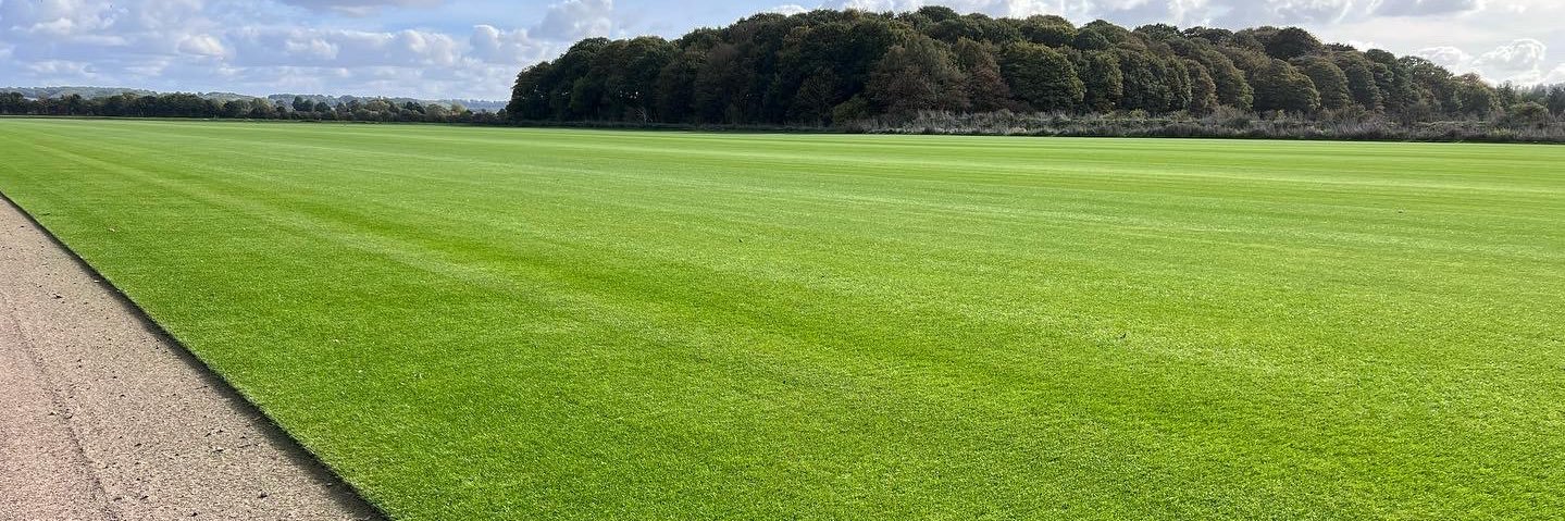 grassman73's profile banner image
