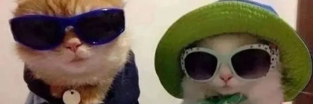 SeresOG's profile banner image