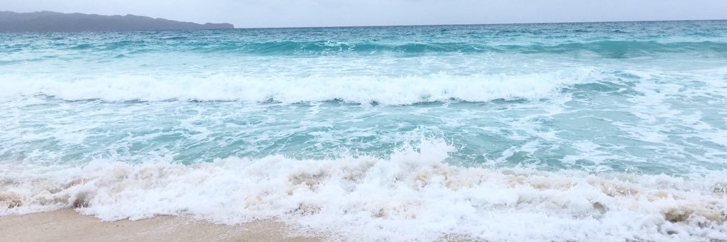 cassyflrs's profile banner image