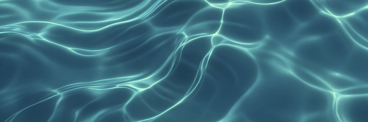 𝑺 banner