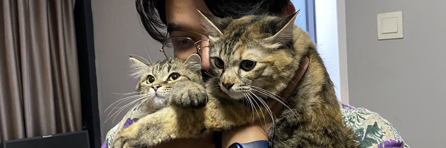 sanismajidd's profile banner image