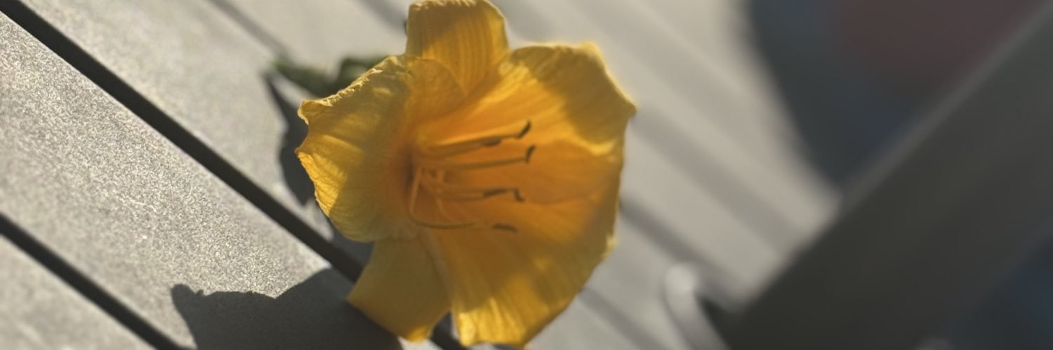BThaDonD's profile banner image