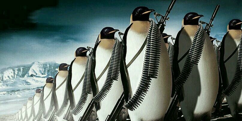 □яоωαп■ banner