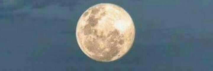 robertoriosherr's profile banner image