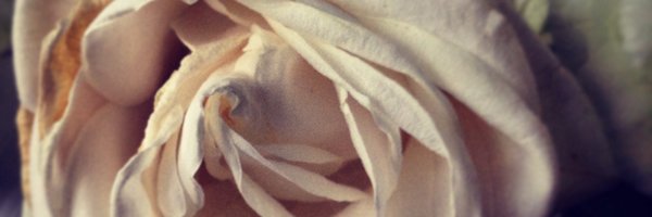 yops_xo Profile Banner