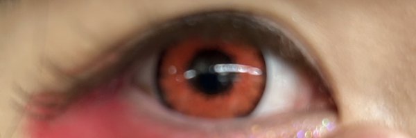 akkoden2 Profile Banner