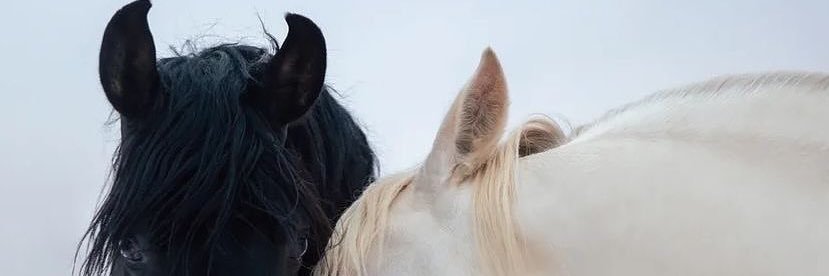 ____mryym's profile banner image