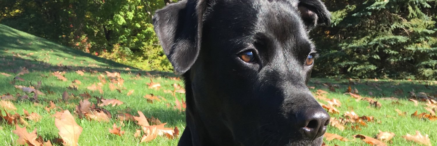 KatlynHeitzhaus's profile banner image