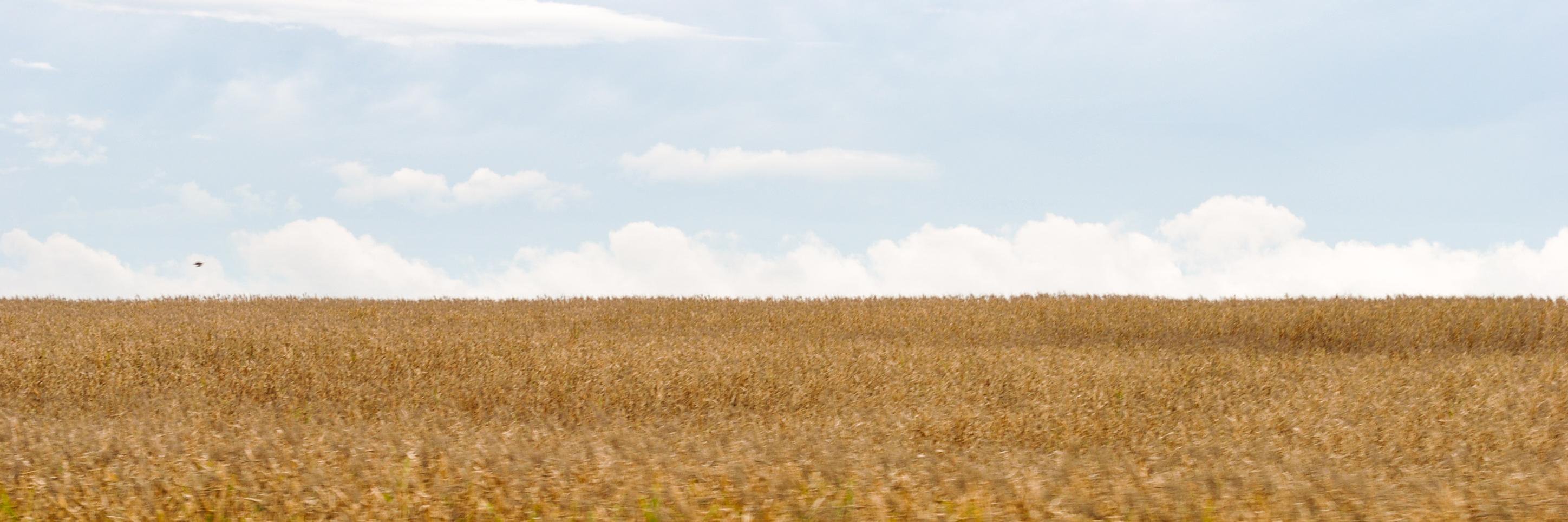 jisarua's profile banner image