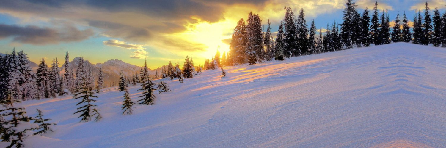 Tshepo| ETHGas ⛽ banner